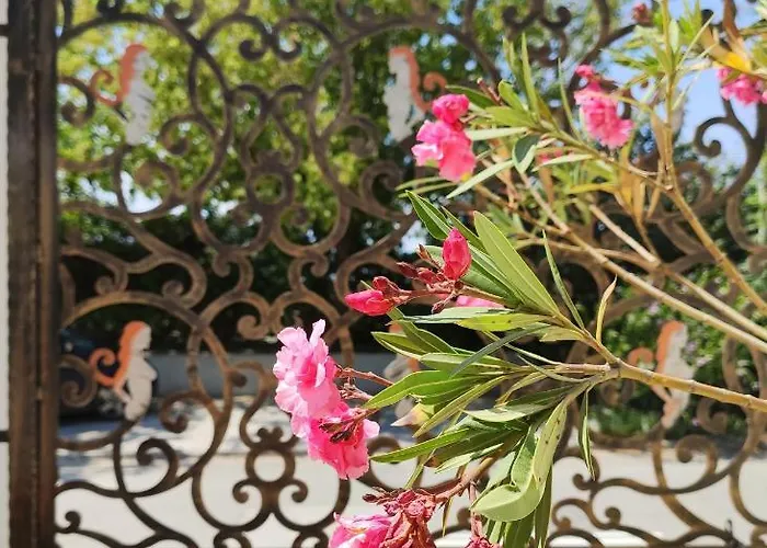 Regal Marine Эфорие Норд